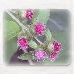 Burdock in Bloom mousepads