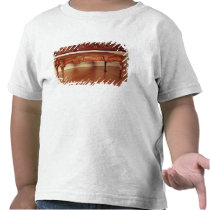 Bureau plat, French, Cressent, 1730 T Shirts