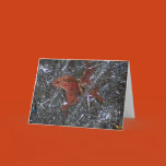 tinsel, shiney, silver, christmas, tree,