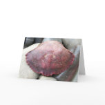 Burgundy Crab Shell Greeting Card