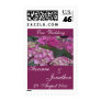 Burgundy Dreams Hydrangea