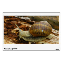 Burgundy Roman Edible Snail Helix Pomatia Wall Decals