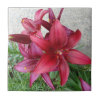 Burgundy Starburst Lily Tile