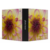 Burgundy, Yellow & White Dahlia