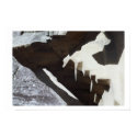 Burial Chamber, Machu Picchu posters by jfergus2 Burial Chamber, Machu Picchu posters