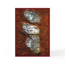 Buried in Pine Stone Greeting Card