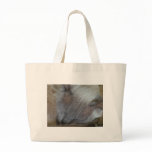Burmese cat bag