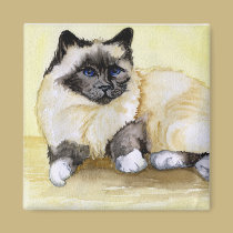 Burmese Cat Seal Point magnets