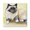 Burmese Cat Seal Point magnets by Felidae52 Burmese Cat Seal Point magnets