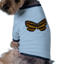 Burmese Lascar Butterfly Pet Clothes