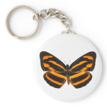 Burmese Lascar Butterfly Key Chains