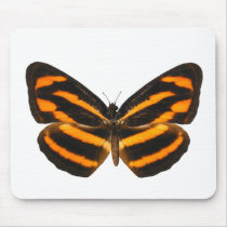 Burmese Lascar Butterfly Mousepad