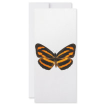 Burmese Lascar Butterfly Rack Card