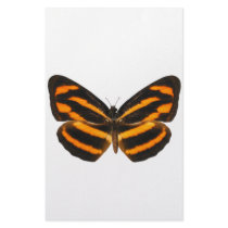 Burmese Lascar Butterfly Personalized Stationery