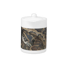 Burmese Python