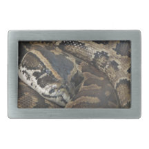 Burmese Python Belt Buckles