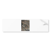 Burmese Python Bumper Sticker