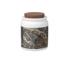Burmese Python Candy Dishes