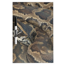 Burmese Python Dry Erase White Board