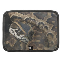 Burmese Python Folio Planner