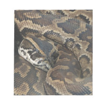 Burmese Python Memo Pads