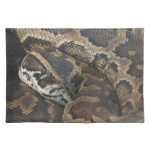 Burmese Python Placemat