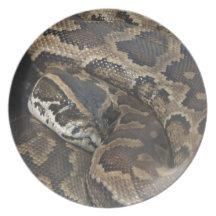 Burmese Python Plates