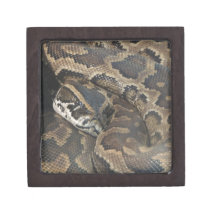 Burmese Python Premium Jewelry Box