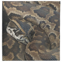 Burmese Python Printed Napkins