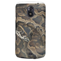 Burmese Python Samsung Galaxy Nexus Covers