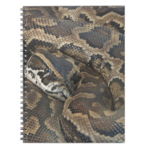 Burmese Python Spiral Note Book