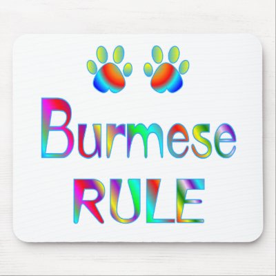 Burmese Rule mouse mats