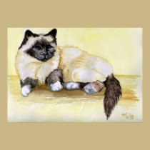 Burmese Seal Point Cat posters
