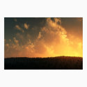 Burn posters