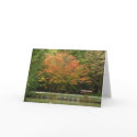 Burnaby's Central Park - Autumn colors cards by kapulani Burnaby's Central Park - Autumn colors cards