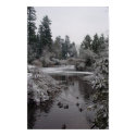 Burnaby's Central Park: Half-frozen Lower Pond posters