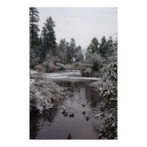 Burnaby's Central Park: Half-frozen Lower Pond posters