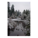 Burnaby's Central Park: Half-frozen Lower Pond Poster