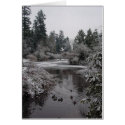 Burnaby's Central Park - Lower Pond cards