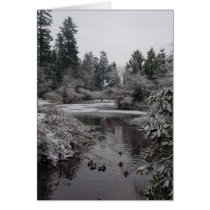 Burnaby's Central Park - Lower Pond cards