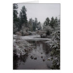 Burnaby's Central Park - Lower Pond cards