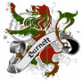 Burnett Tartan Lion