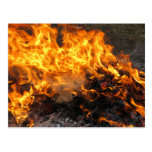 Burning Brush Postcard