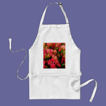 Burning Bush aprons