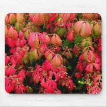 Burning Bush mousepads