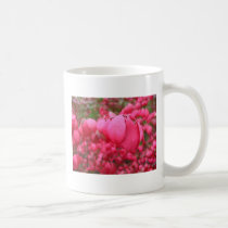 Burning Bush mugs