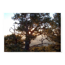 Burning bush posters by crowellboy Burning bush posters
