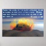 Burning Bush Poster