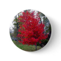 Burning Bush Round Button
