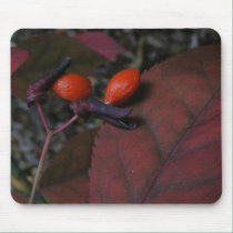 Burning Bush seed ~ MP mousepads